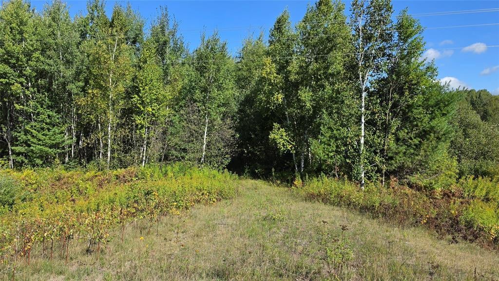 Photo of 4602W State HWY 70, Winter, WI 54896 (MLS # 1605196)