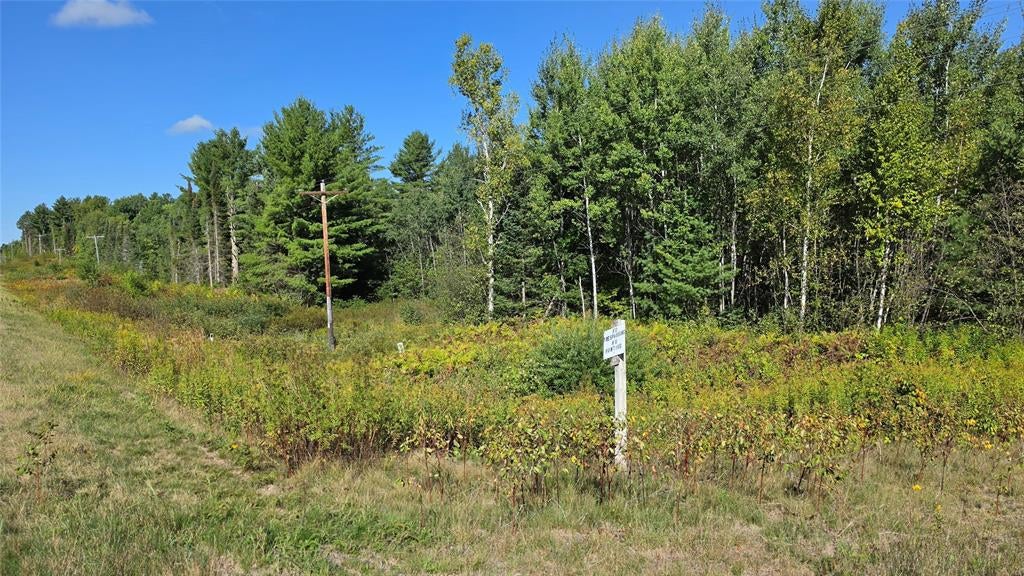 Photo of 4602W State HWY 70, Winter, WI 54896 (MLS # 1605196)