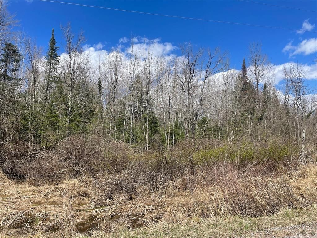 Photo of 40+/- Acres On Pociask ROAD, Butternut, WI 54514 (MLS # 1601091)