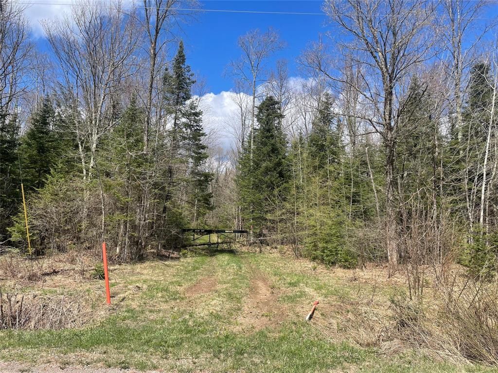 Photo of 40+/- Acres On Pociask ROAD, Butternut, WI 54514 (MLS # 1601091)