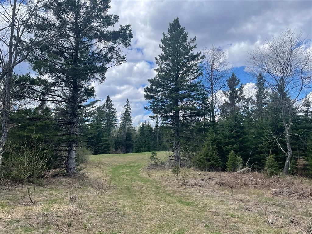Photo of 40+/- Acres On Pociask ROAD, Butternut, WI 54514 (MLS # 1601091)