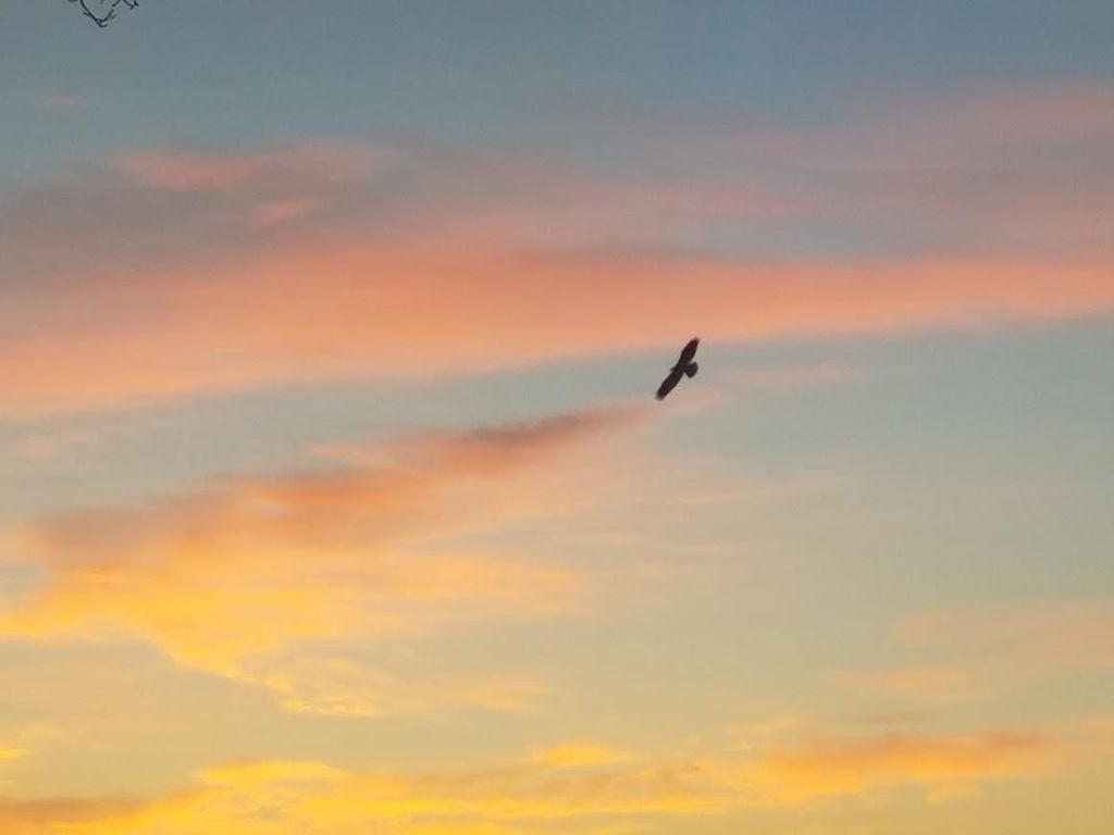 Photo of 735 Park STREET, Wrightstown, WI 54180 (MLS # 50321630)