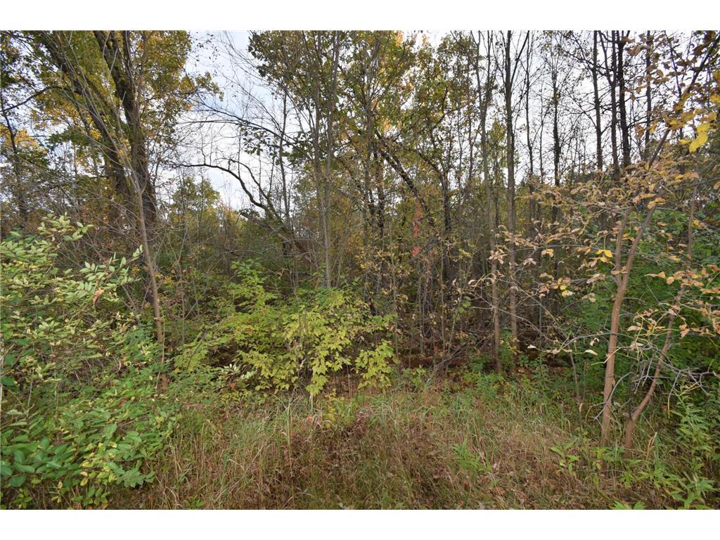 Photo of Lots 1-8 N Center STREET, Danbury, WI 54830 (MLS # 7156049)