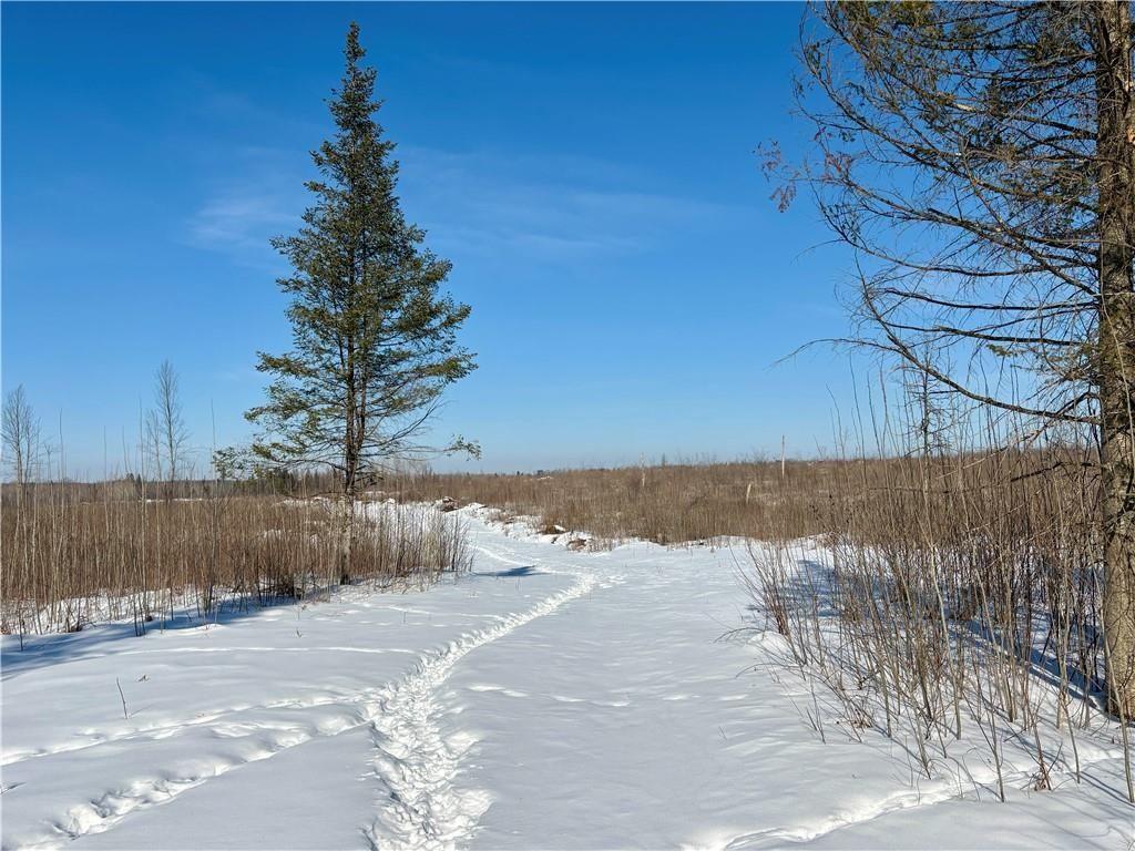 Photo of Lot 1 Girod, Ladysmith, WI 54848 (MLS # 1598596)