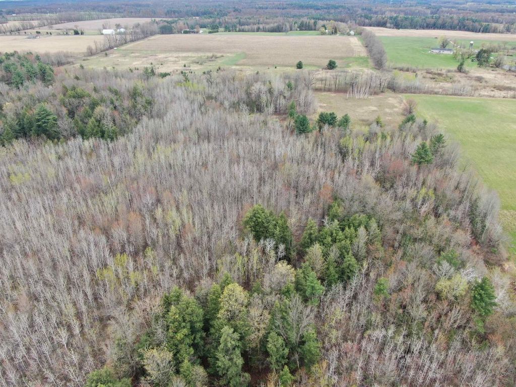 Photo of 120 AC W Oakwood Dr Acres ACRES, Mosinee, WI 54455 (MLS # 2022738)