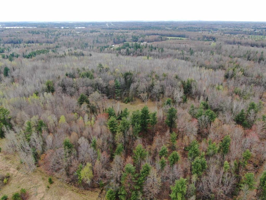 Photo of 120 AC W Oakwood Dr Acres ACRES, Mosinee, WI 54455 (MLS # 2022738)