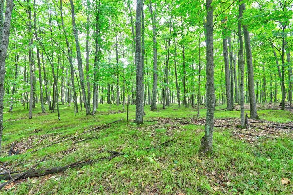 Photo of 0 Twin Lake ROAD, Hayward, WI 54843 (MLS # 1605254)