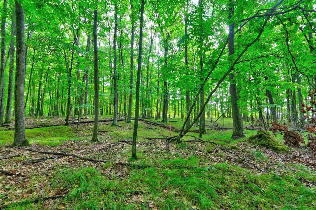 Photo of 0 Twin Lake ROAD, Hayward, WI 54843 (MLS # 1605254)