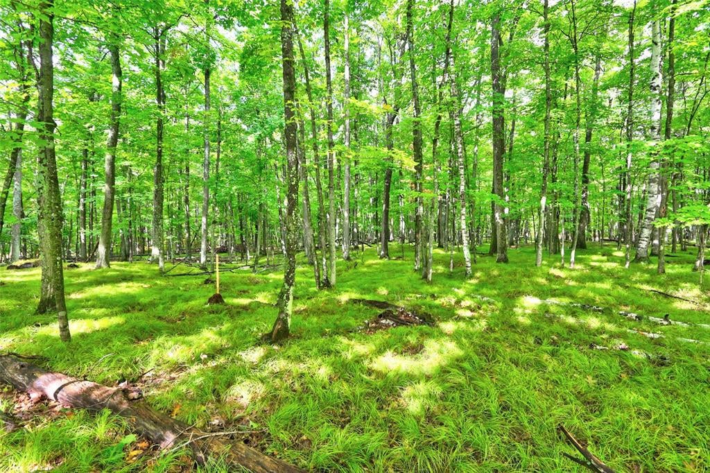 Photo of 0 Twin Lake ROAD, Hayward, WI 54843 (MLS # 1605254)