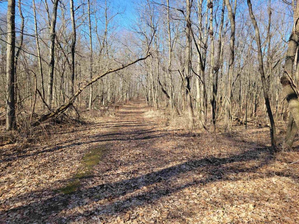 Photo of 25 Acres Lerch ROAD, Arlington, WI 53911 (MLS # 2017732)