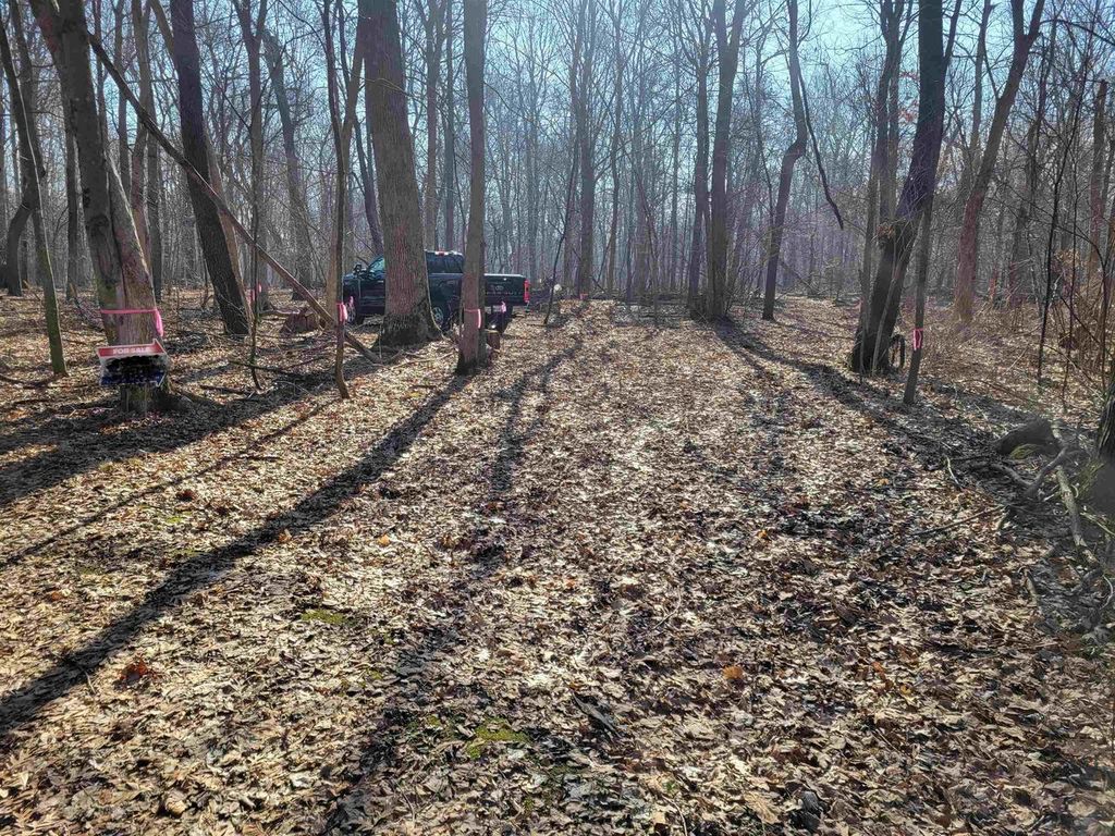 Photo of 25 Acres Lerch ROAD, Arlington, WI 53911 (MLS # 2017732)