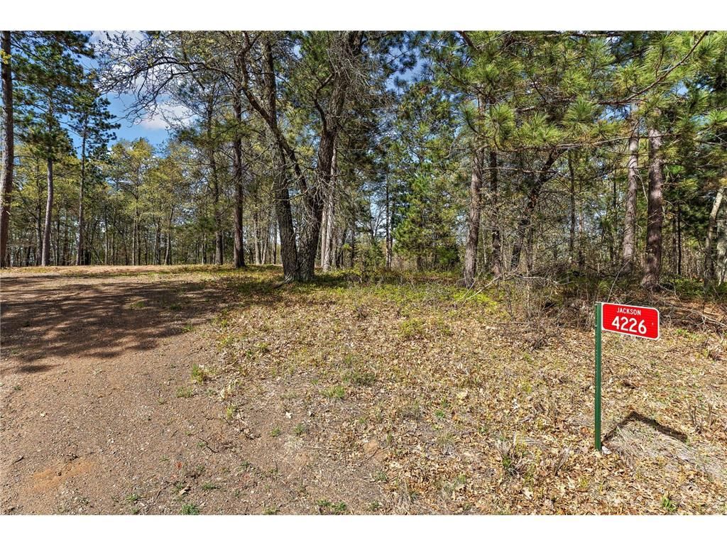 Photo of 4226 Deerpath ROAD, Danbury, WI 54830 (MLS # 7076596)