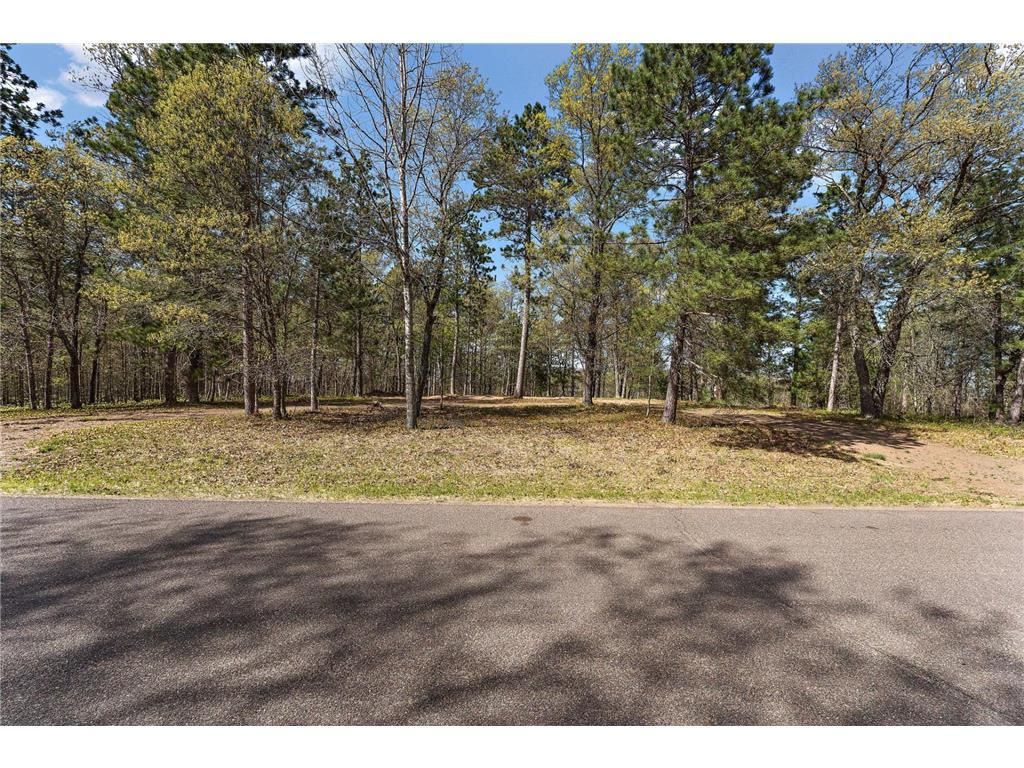 Photo of 4226 Deerpath ROAD, Danbury, WI 54830 (MLS # 7076596)
