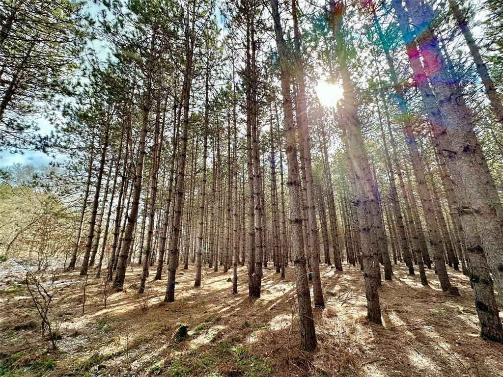 Photo of TBD 20 Acres 630th STREET, Colfax, WI 54730 (MLS # 1599219)