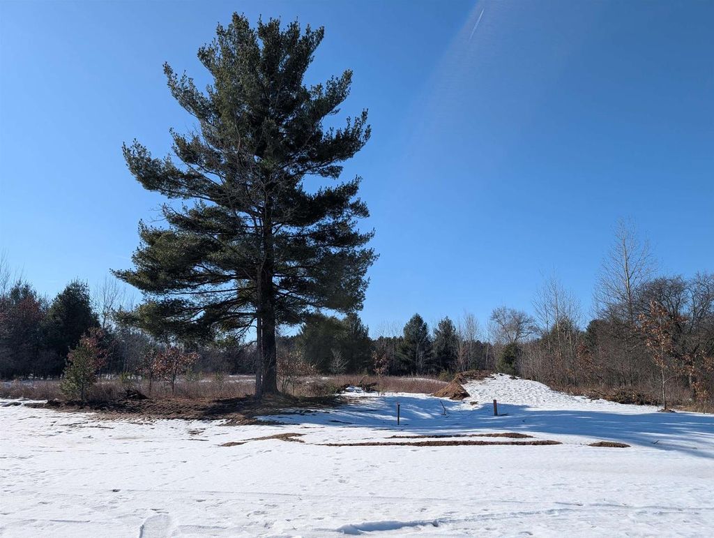 Photo of 3425 Ravenswood WAY #Lot 92, Plover, WI 54467 (MLS # 22600623)