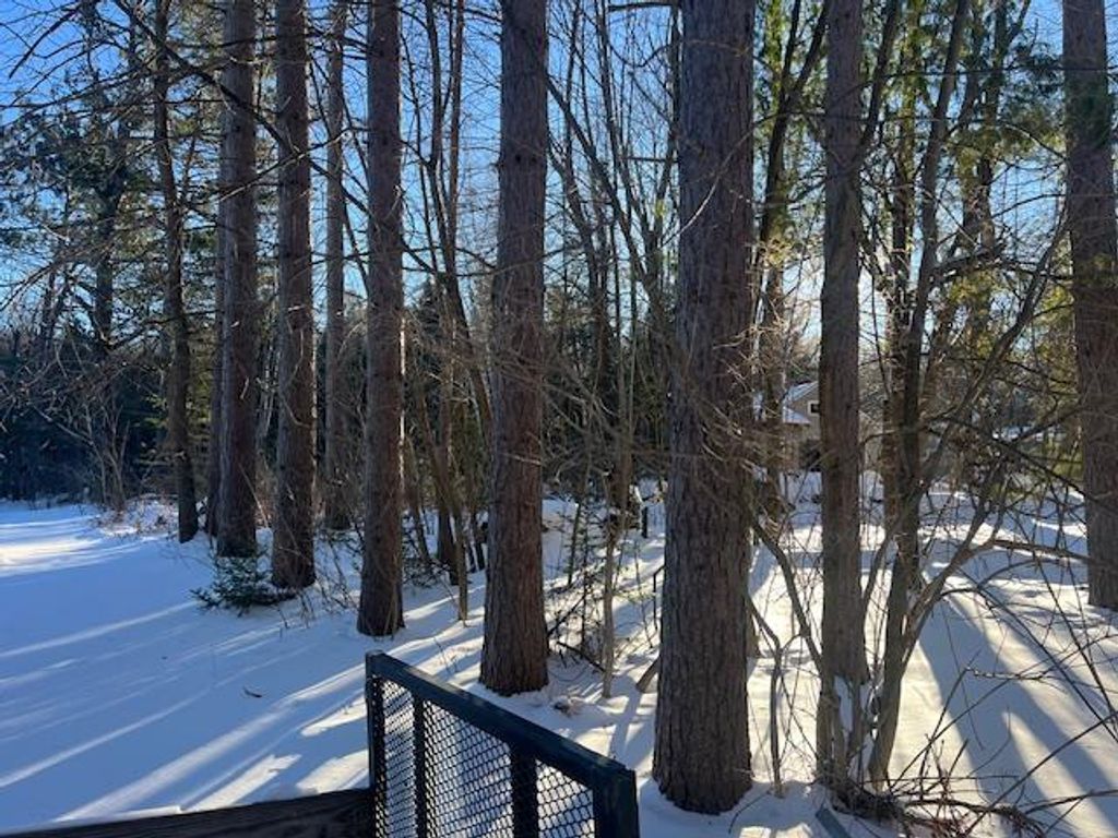 Photo of Archibald Lake ROAD, Lakewood, WI 54138 (MLS # 50319169)