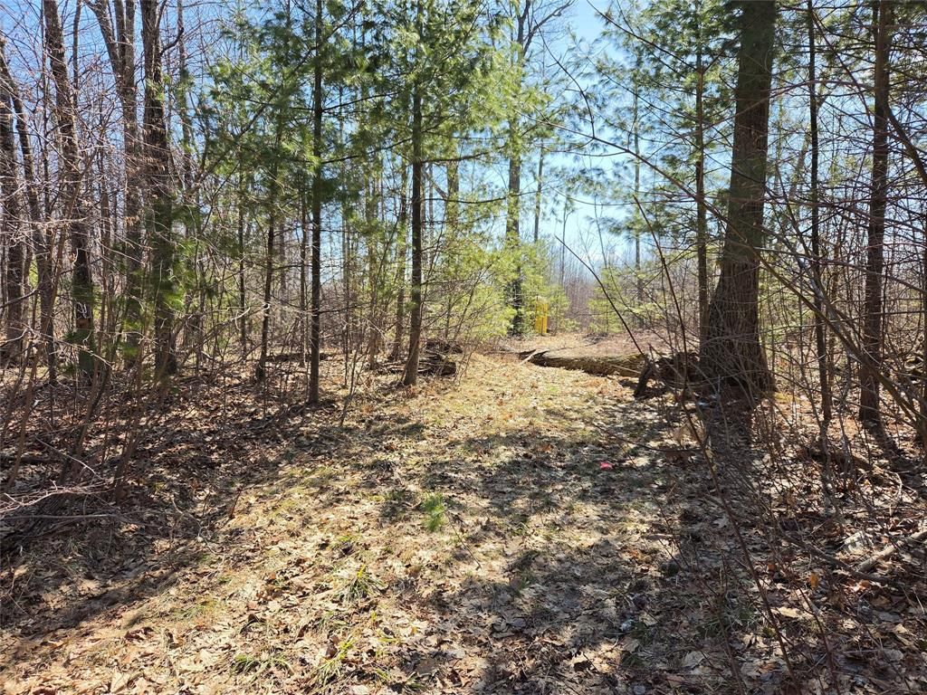 Photo of Lot 1 W South Shore Rd, Hayward, WI 54843 (MLS # 1599896)