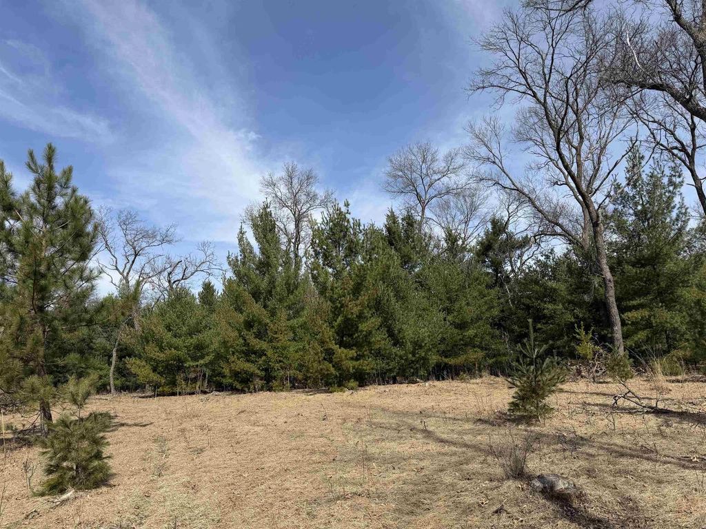 Photo of Lot 30 Fern DRIVE, Wisconsin Dells, WI 53965 (MLS # 2020725)