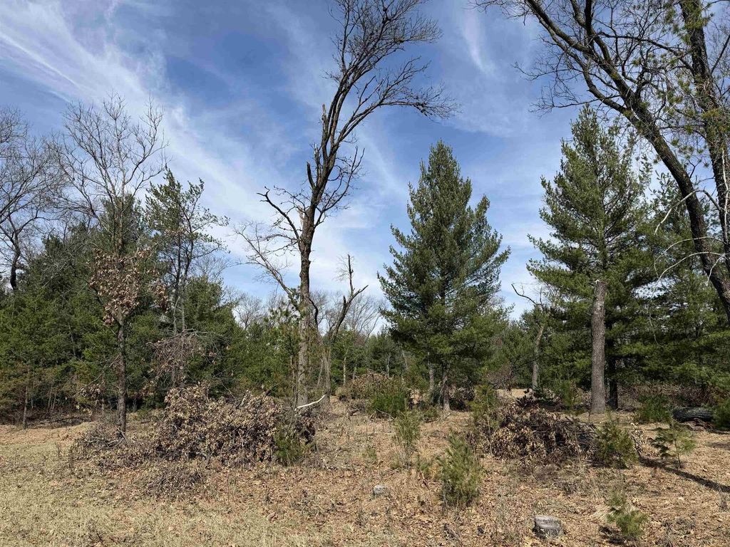 Photo of Lot 30 Fern DRIVE, Wisconsin Dells, WI 53965 (MLS # 2020725)