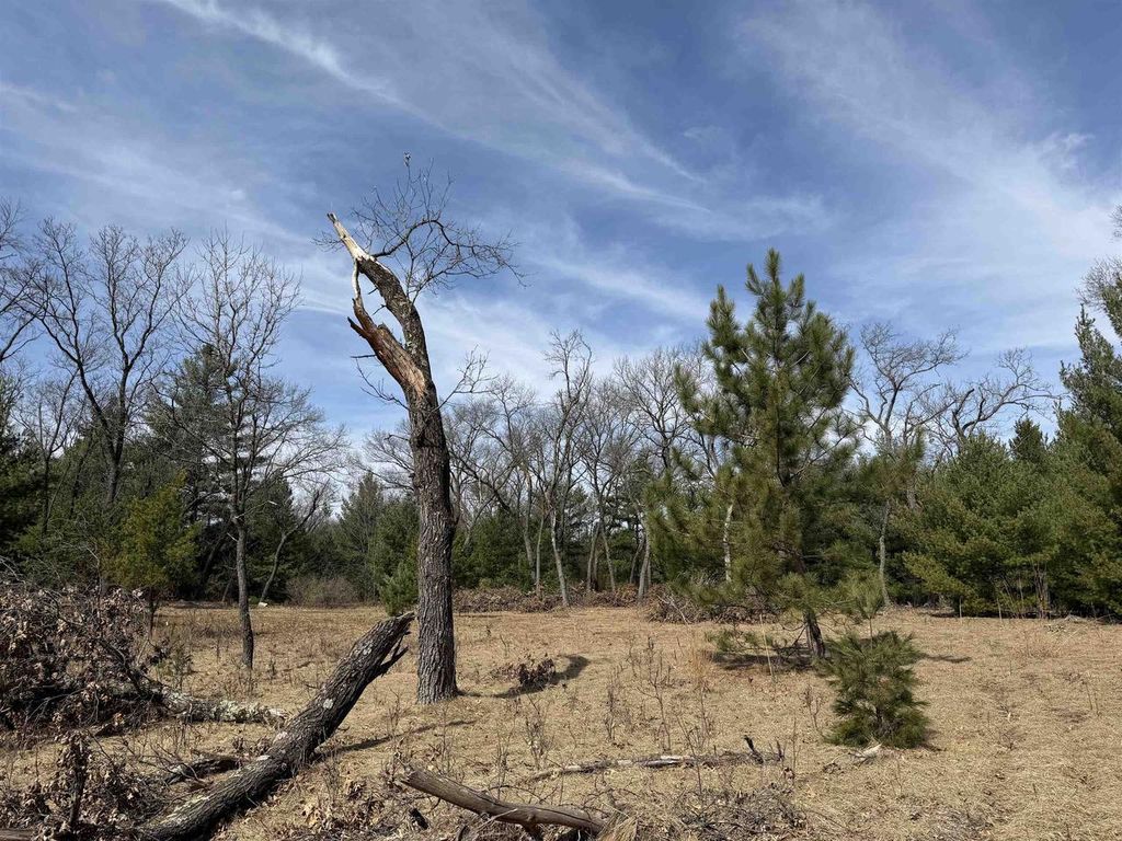 Photo of Lot 30 Fern DRIVE, Wisconsin Dells, WI 53965 (MLS # 2020725)