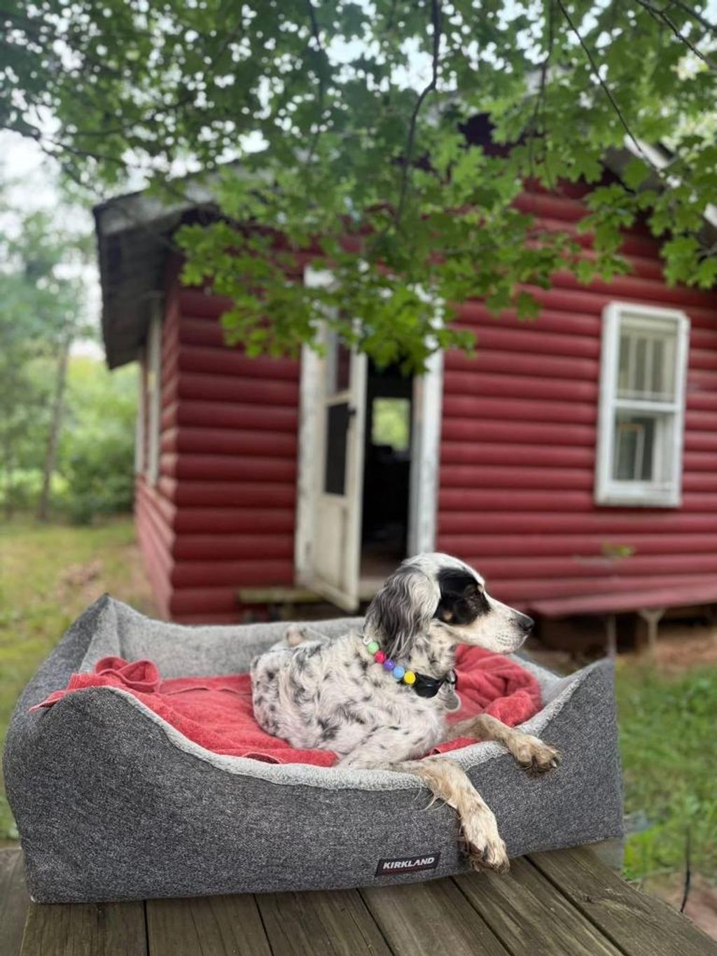 Photo of N2759 County Road A Rd, Oxford, WI 53952 (MLS # 2016141)