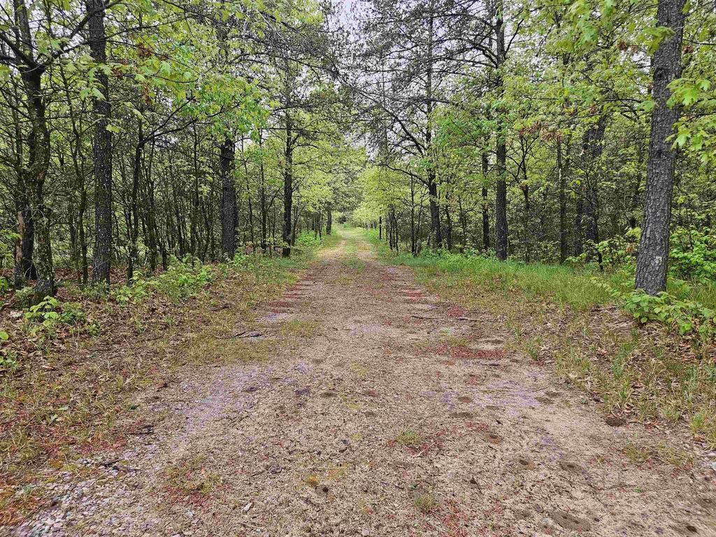 Photo of 1117 14th COURT, Arkdale, WI 54613 (MLS # 2019916)