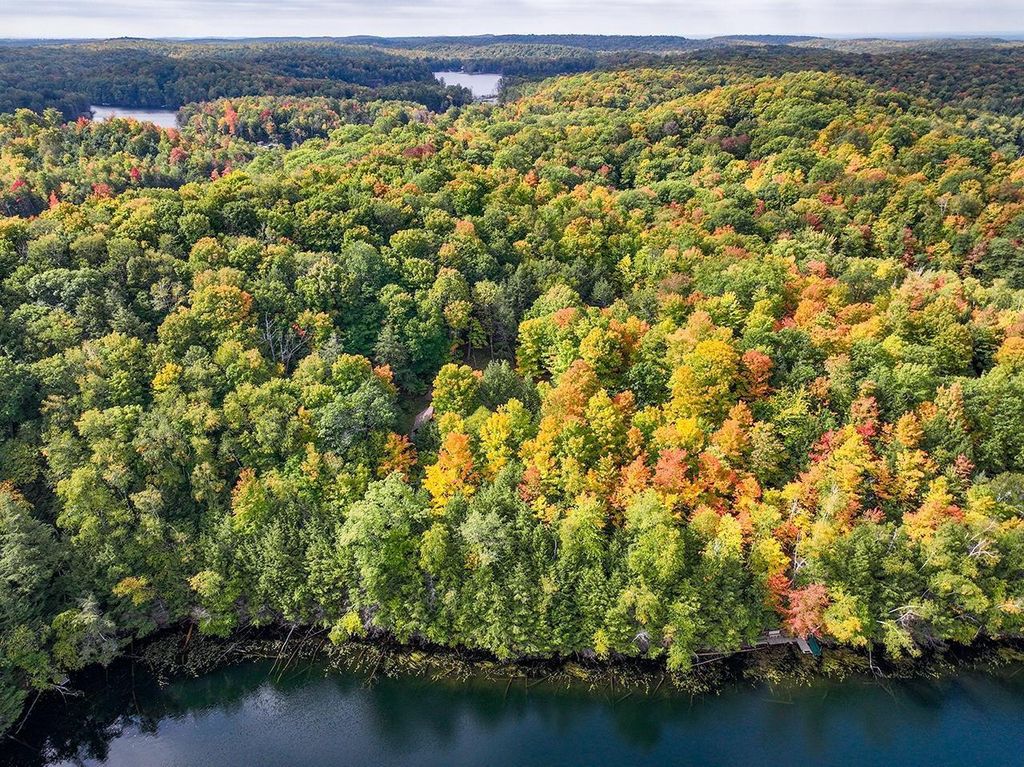 Photo of N8821 Star TRAIL, Gleason, WI 54435 (MLS # 22601360)