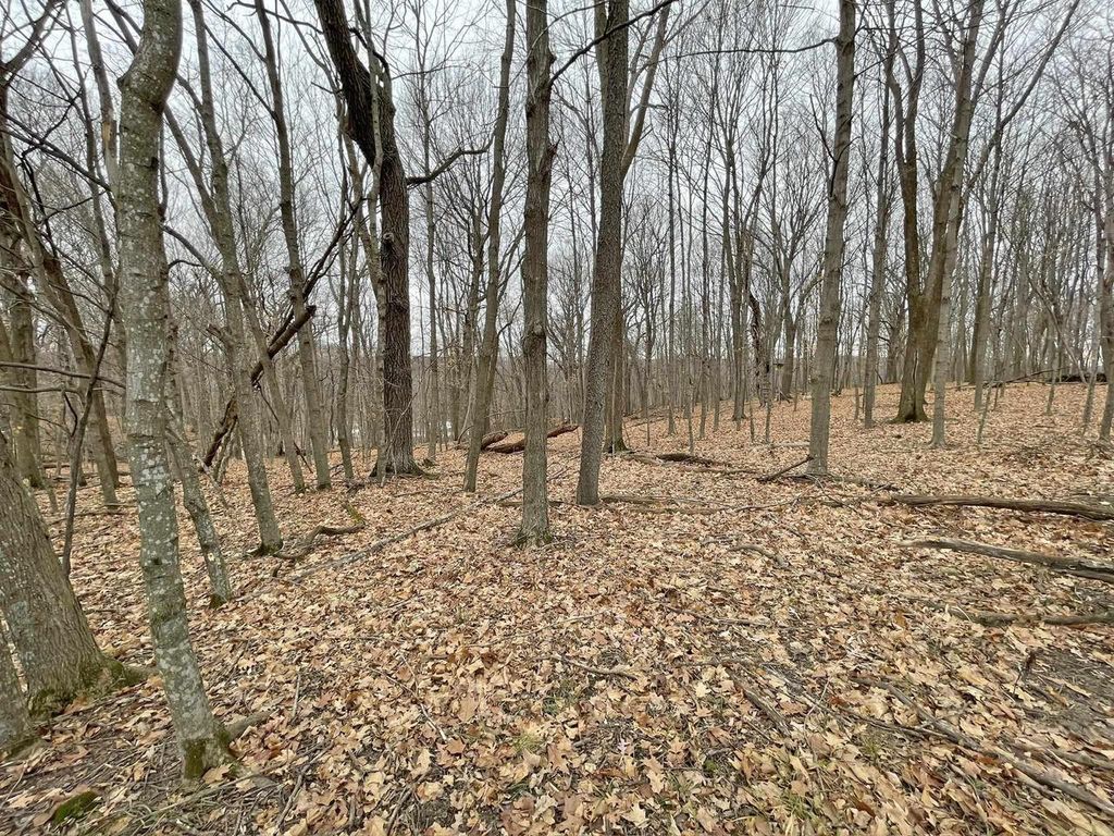 Photo of L150 Black Forest Pine Cone LANE, La Valle, WI 53941 (MLS # 2020491)