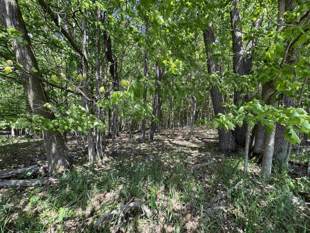 Photo of L150 Black Forest Pine Cone LANE, La Valle, WI 53941 (MLS # 2020491)