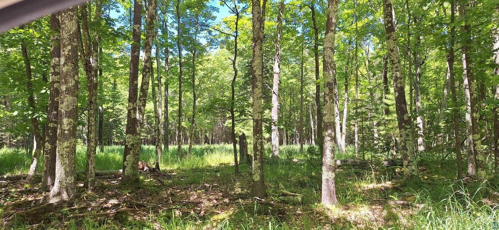 Photo of xxx South Shore ROAD, La Pointe, WI 54850 (MLS # 6126499)