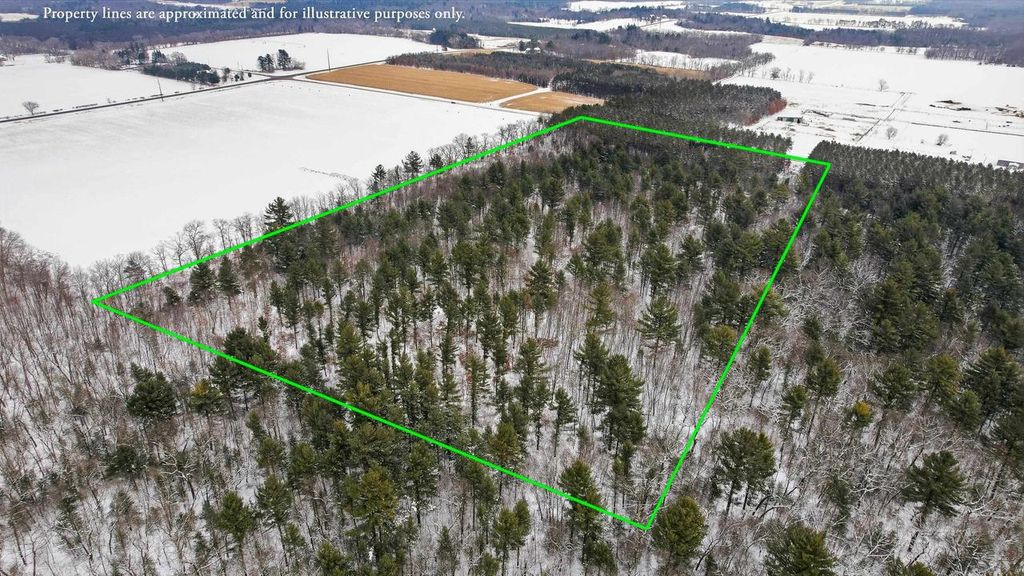 Photo of 20 Acres County Road D, Waupaca, WI 54981 (MLS # 22505689)