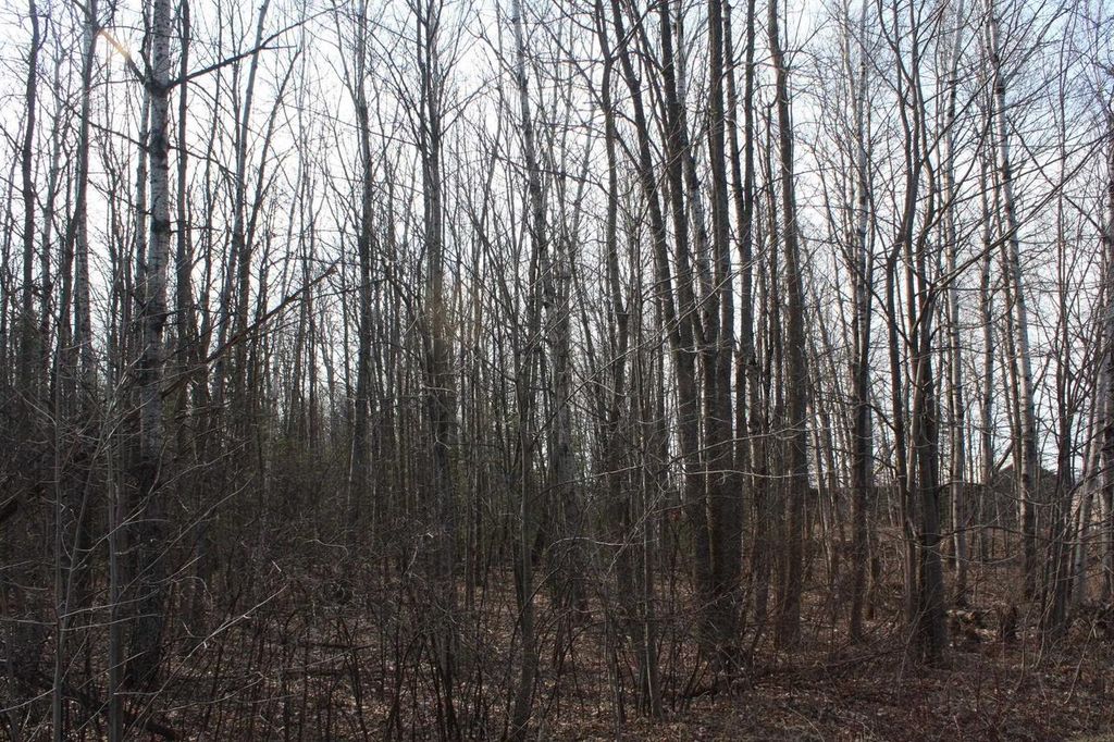 Photo of 50XX S Maple DRIVE, Poplar, WI 54864 (MLS # 6123690)