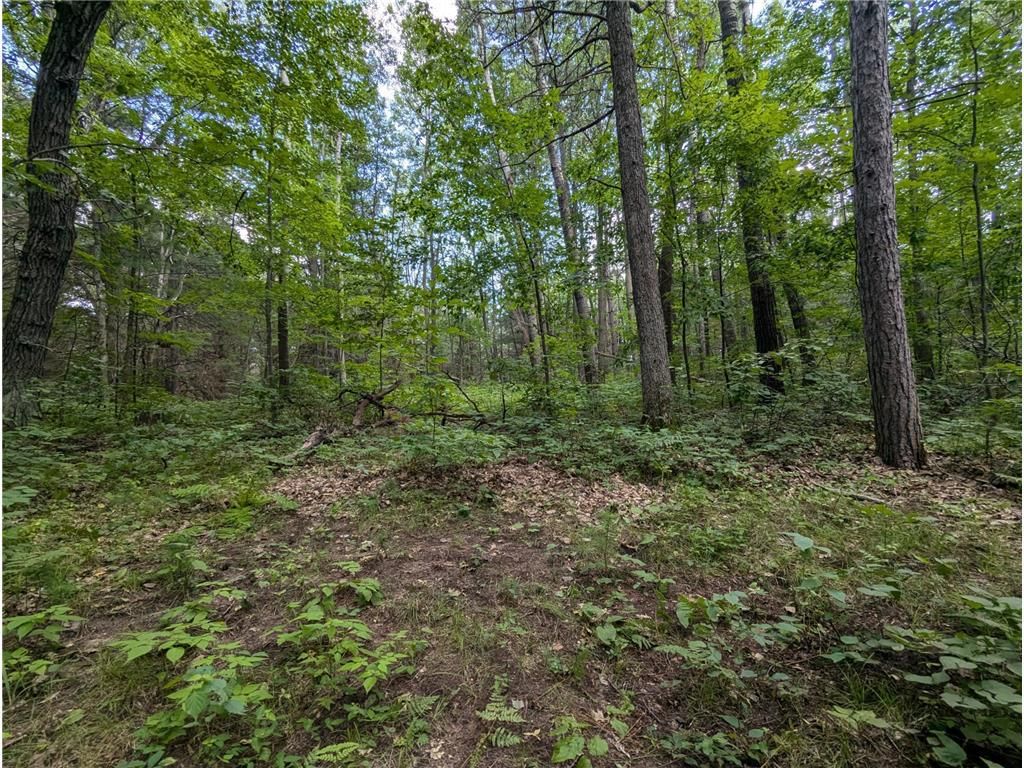 Photo of Lot 3 Fosmo, Webster, WI 54893 (MLS # 7041576)