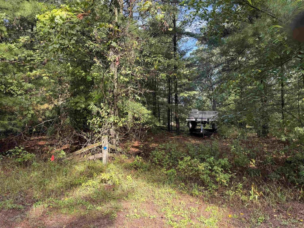 Photo of 1.47 AC S Eagle COURT, Grand Marsh, WI 53936 (MLS # 2032031)