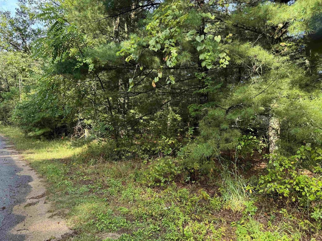 Photo of 1.47 AC S Eagle COURT, Grand Marsh, WI 53936 (MLS # 2032031)