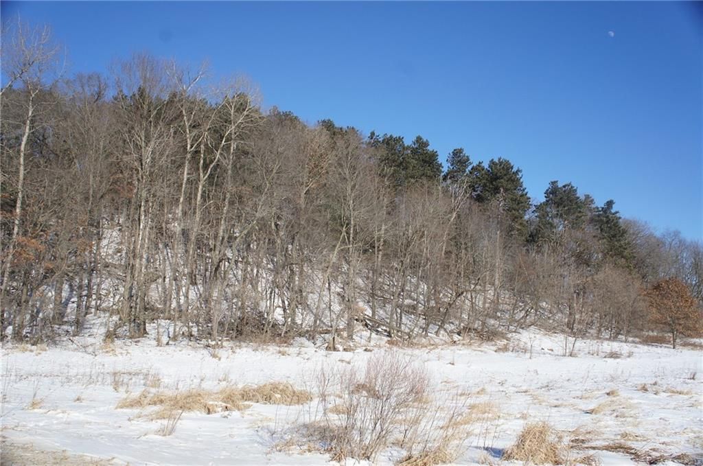 Photo of 00 Town Hall ROAD, Alma Center, WI 54611 (MLS # 1598110)