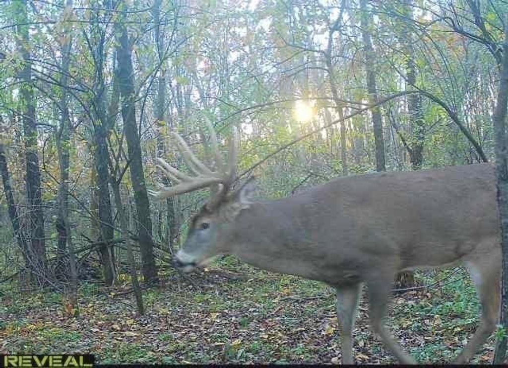 Photo of XXX State Rd 93, Arcadia, WI 54612 (MLS # 1598573)