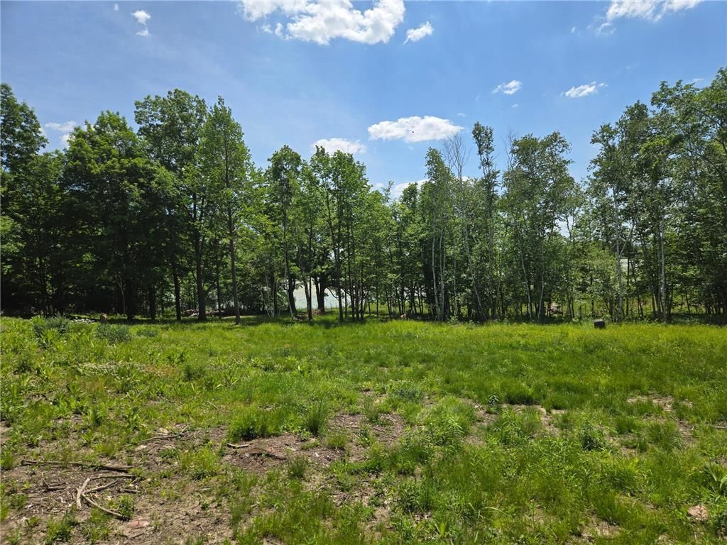 Photo of 110 90th AVENUE, Clayton, WI 54004 (MLS # 7060390)