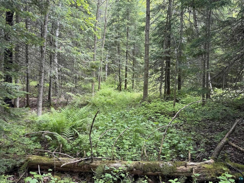 Photo of 000 Jack Pine ROAD, Cornucopia, WI 54827 (MLS # 6125986)