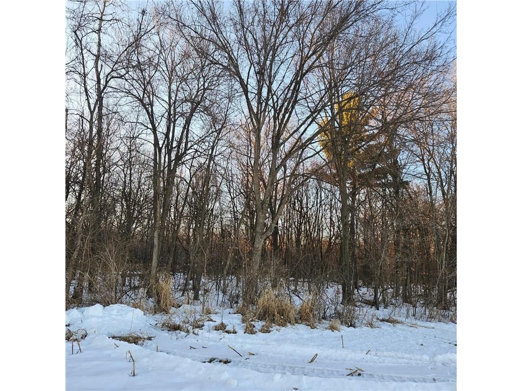 Photo of TBD County Rd DD, Eau Galle, WI 54737 (MLS # 7008071)
