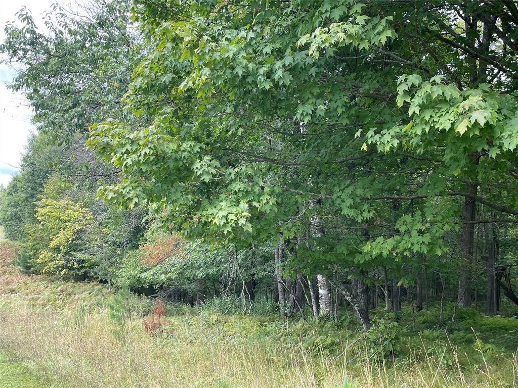Photo of Lot 9 Hermosa LANE, Hayward, WI 54843 (MLS # 1600925)