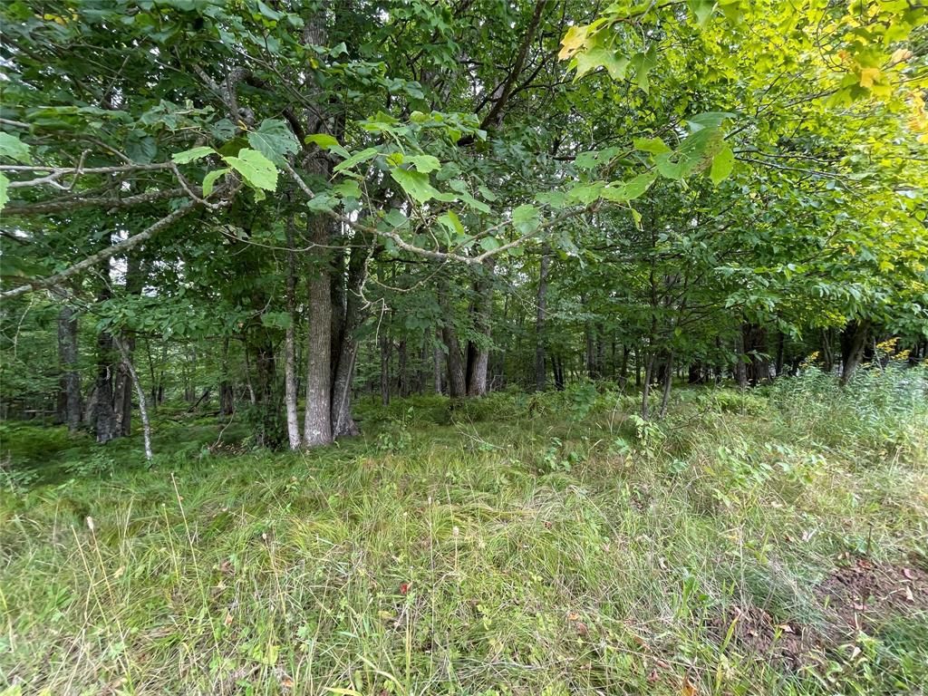 Photo of Lot 9 Hermosa LANE, Hayward, WI 54843 (MLS # 1600925)