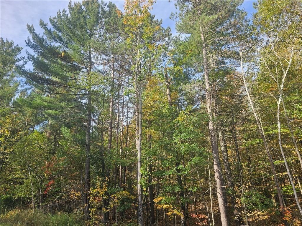 Photo of xxx County Road H ROAD, Danbury, WI 54830 (MLS # 1596238)