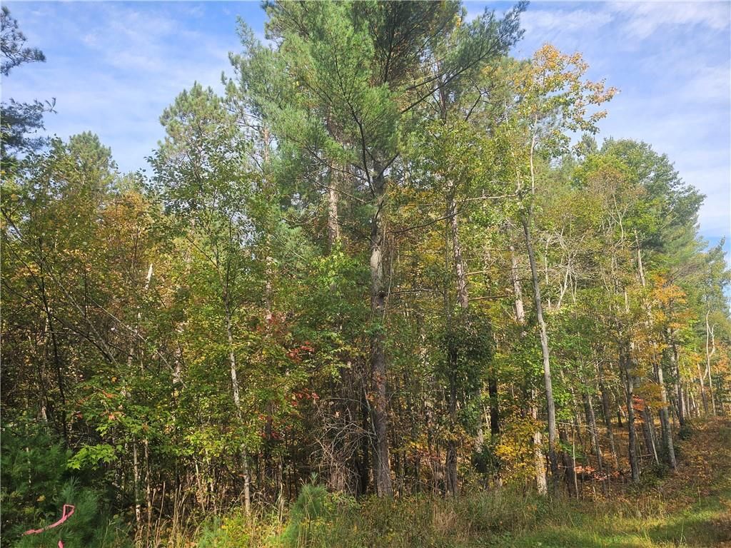 Photo of xxx County Road H ROAD, Danbury, WI 54830 (MLS # 1596238)
