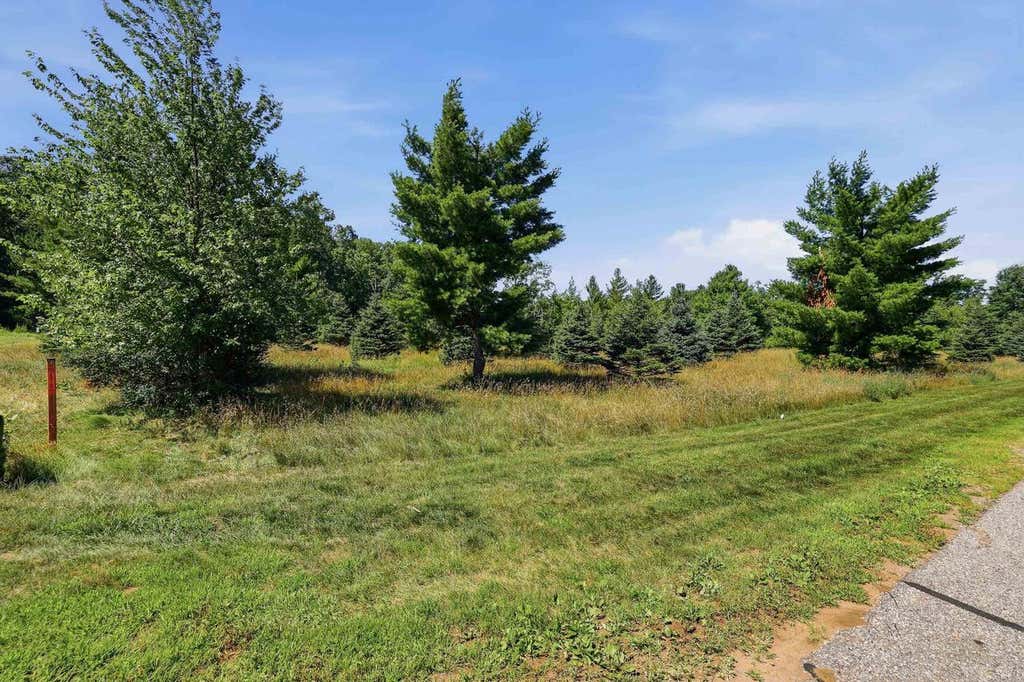 Photo of Lot 43 Point TRAIL, WI 54494 (MLS # 22603573)