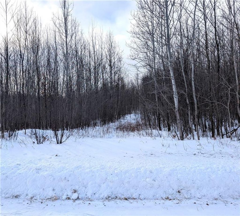 Photo of 00 155th Ave, Boyd, WI 54726 (MLS # 1598015)