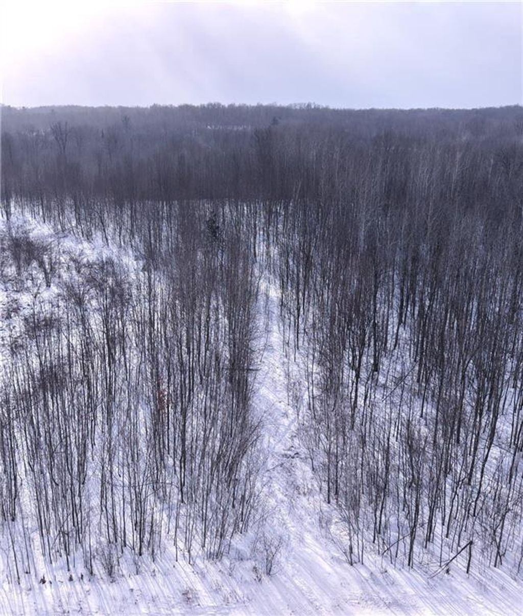 Photo of 00 155th Ave, Boyd, WI 54726 (MLS # 1598015)