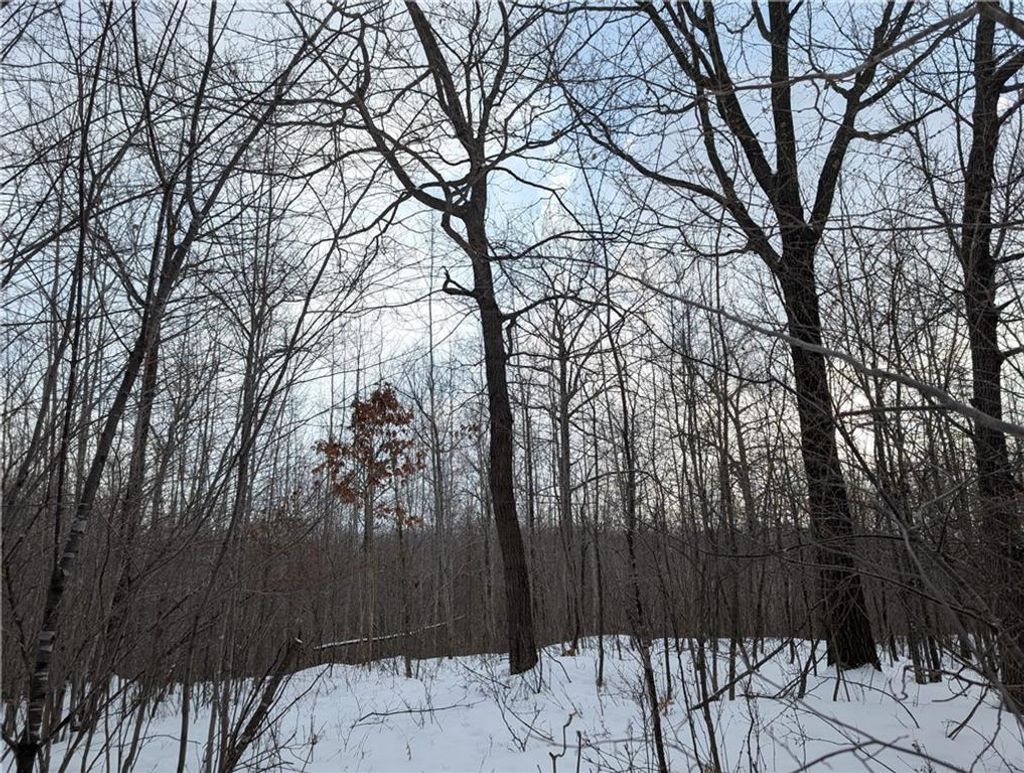 Photo of 00 155th Ave, Boyd, WI 54726 (MLS # 1598015)