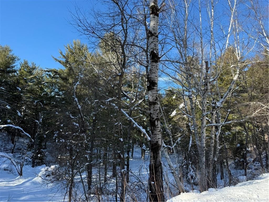 Photo of Lot 4 CSM 2370 Kavanaugh ROAD, Cable, WI 54821 (MLS # 1597806)