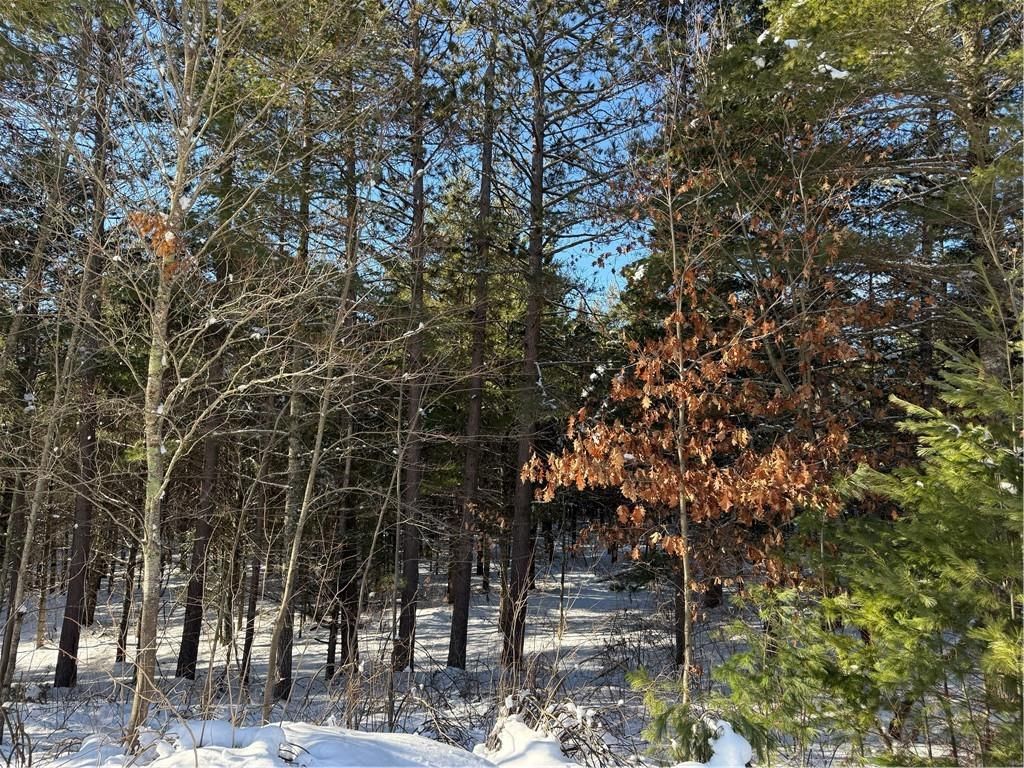 Photo of Lot 4 CSM 2370 Kavanaugh ROAD, Cable, WI 54821 (MLS # 1597806)